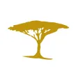 Acacia Collections