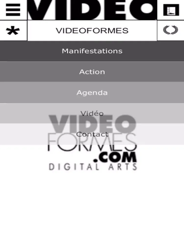 Скриншоты VIDEOFORMES FEST iPad 