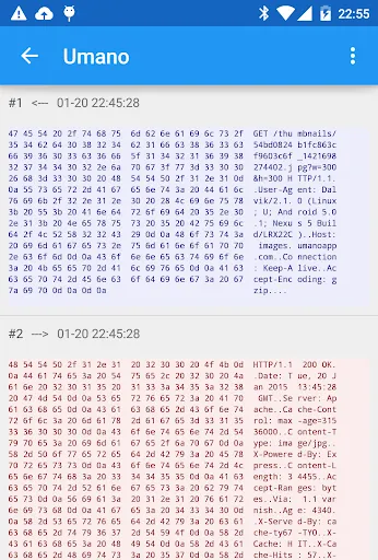Packet Capture 스크린샷