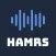 HAMRS Pro