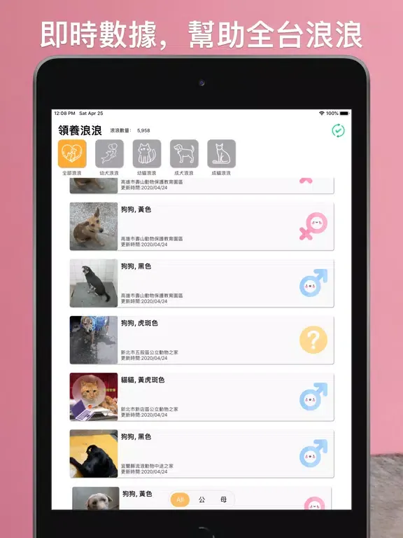 領養浪浪：即時全台流浪毛小孩 iPad 應用截圖