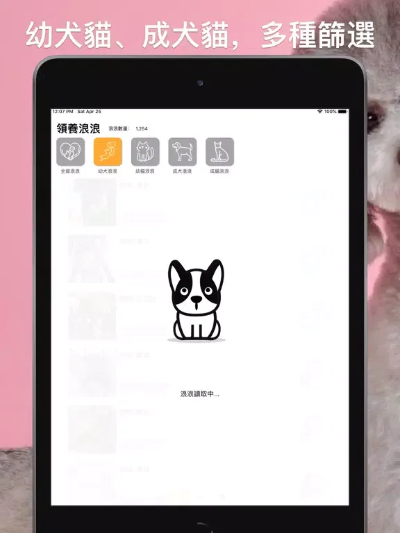 領養浪浪：即時全台流浪毛小孩 iPad 應用截圖