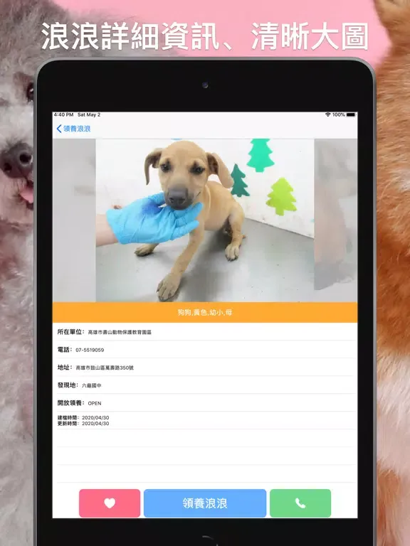 領養浪浪：即時全台流浪毛小孩 iPad 應用截圖