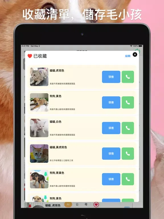 領養浪浪：即時全台流浪毛小孩 iPad 應用截圖