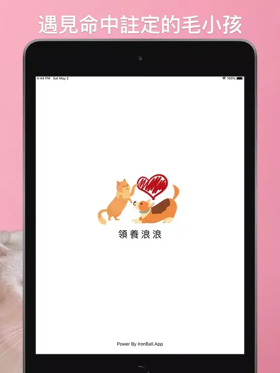 領養浪浪：即時全台流浪毛小孩 iPad 應用截圖