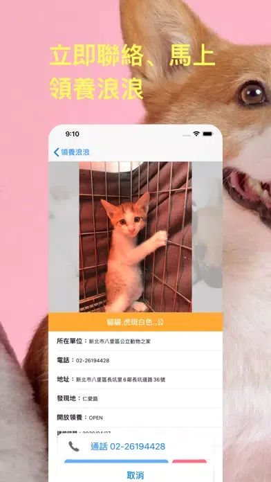 領養浪浪：即時全台流浪毛小孩應用截圖