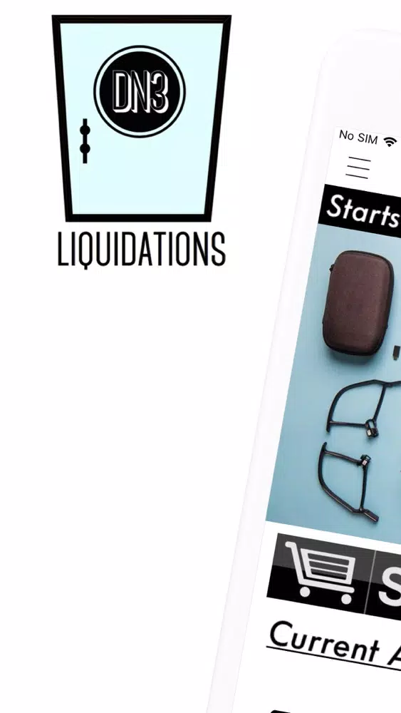 DN3 Liquidations Auction Screenshots