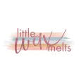 Little Wax Melts