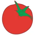 Narinport Narinport