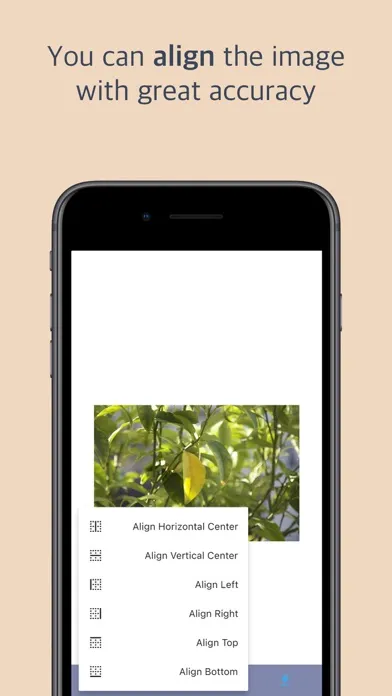 تصاویر Image Fit - Fit to SNS