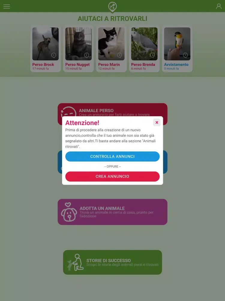 Lost&Found iPad 應用截圖