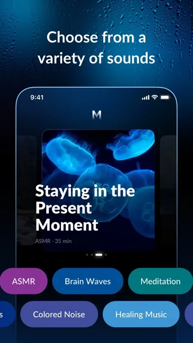 صور MindZone®: Brainwave for Sleep