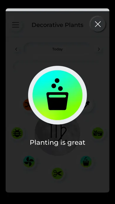 Moonbox Decorative Plants應用截圖