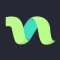 anynet VPN