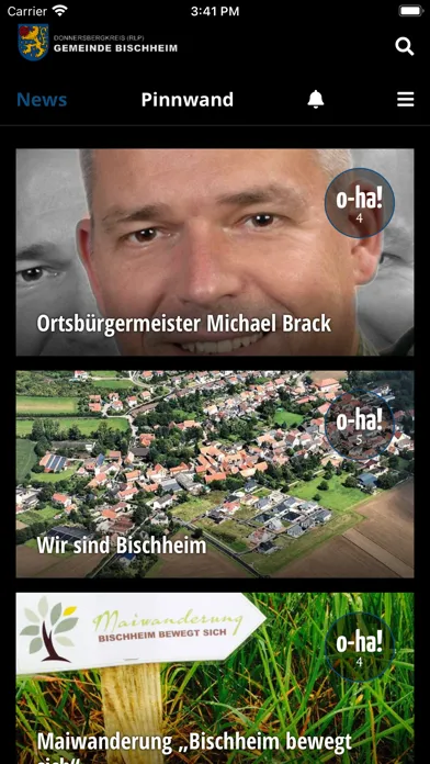 Bischheim应用截图