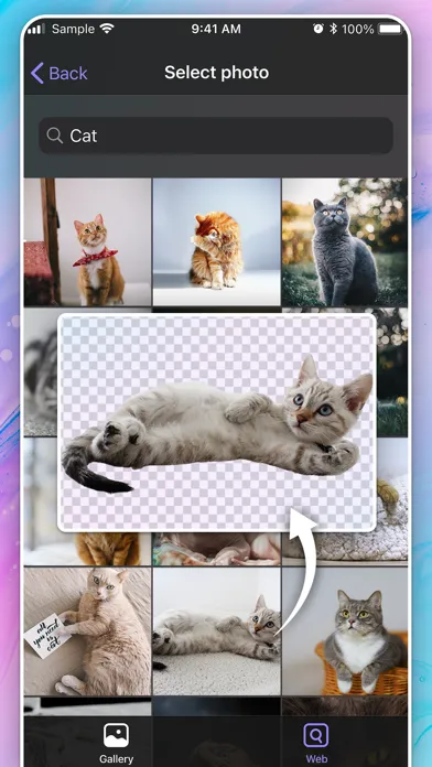 Photo2Photo: Background Eraser應用截圖
