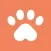 Petfy: Petshop e Rações