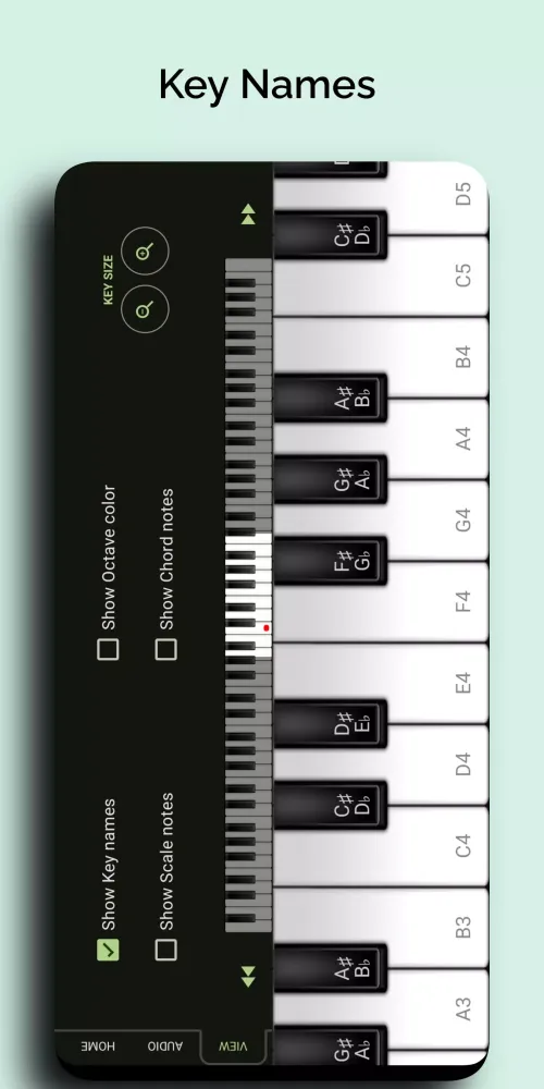 Grand Piano স্ক্রিনশট