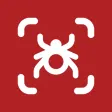 Insect Identifier - Insectby