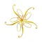 Plush Online Beauty Shopping