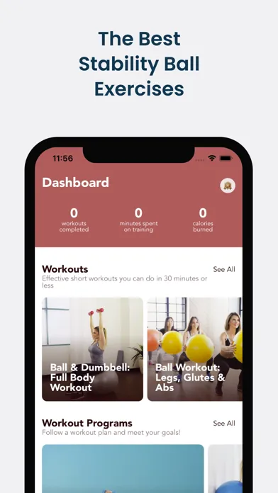 Screenshot di Stability Ball Workouts