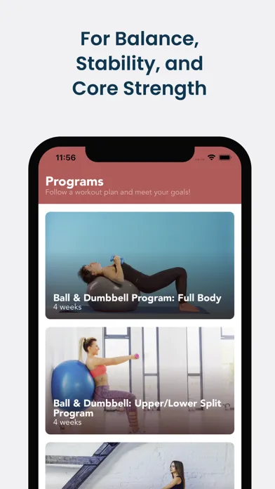 Screenshot di Stability Ball Workouts