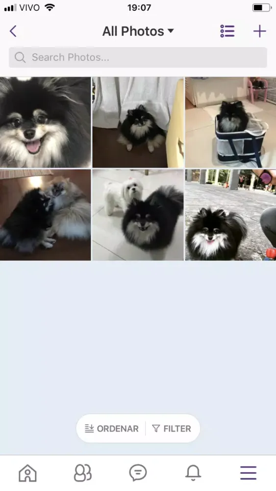 Скриншоты Pupyz