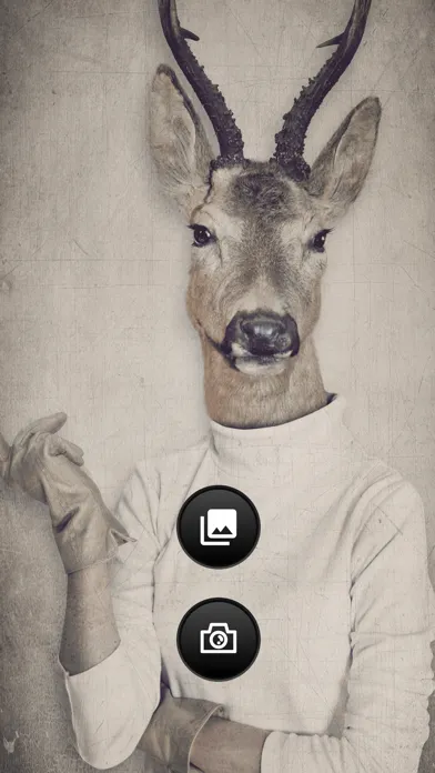 ภาพหน้าจอของ Animal Face Photo Booth