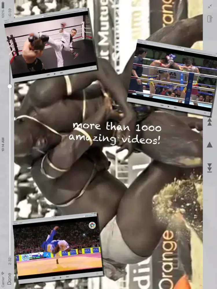 تصاویر The Ultimate Martial Arts iPad 