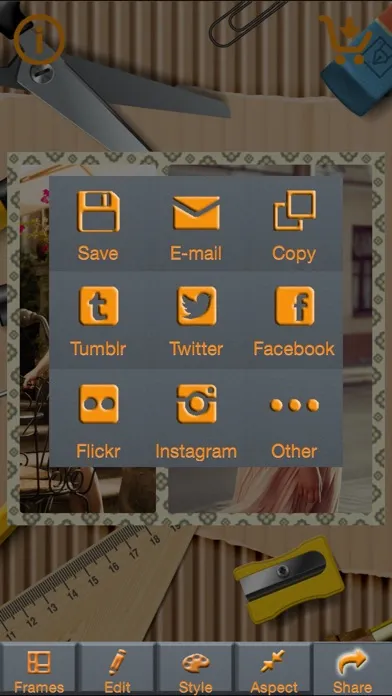 Retro Collage Frame Editor 스크린샷