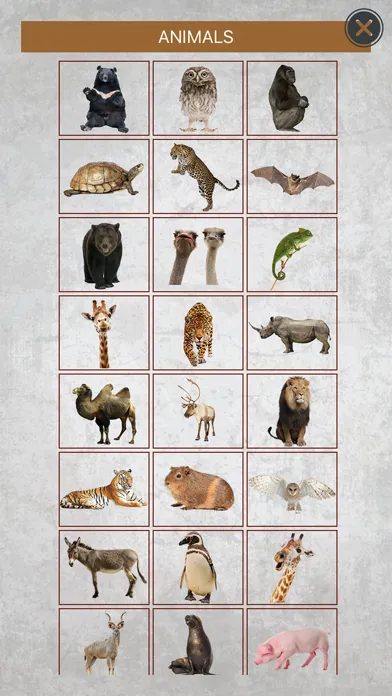 Animal Camera -Pro Ekran Görüntüleri