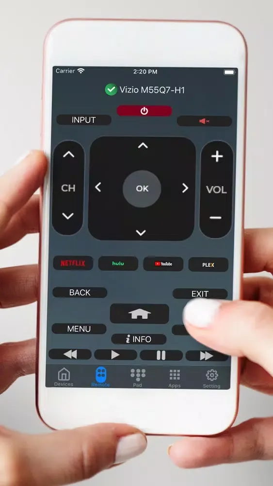 Viz Remote Control Screenshots