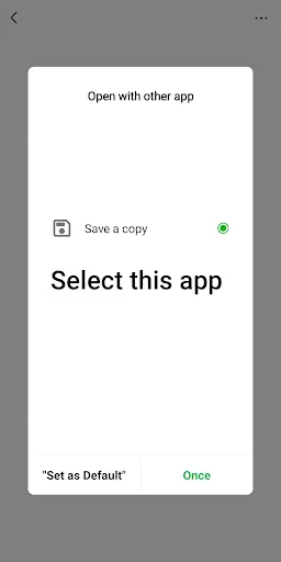 Save Copy Screenshots