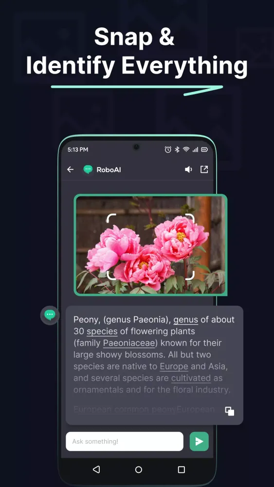 Chat & Ask with RoboAI Bot Screenshots