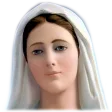 The Holy Rosary