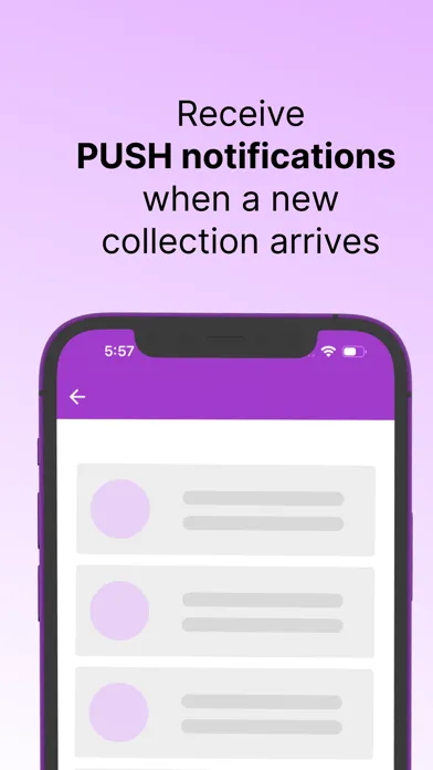 Sasha Fabiani - Shoes and Bags Screenshots