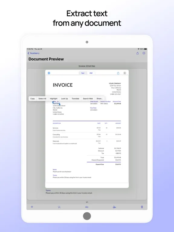 Скриншоты Scanberry – PDF Scanner & OCR iPad 