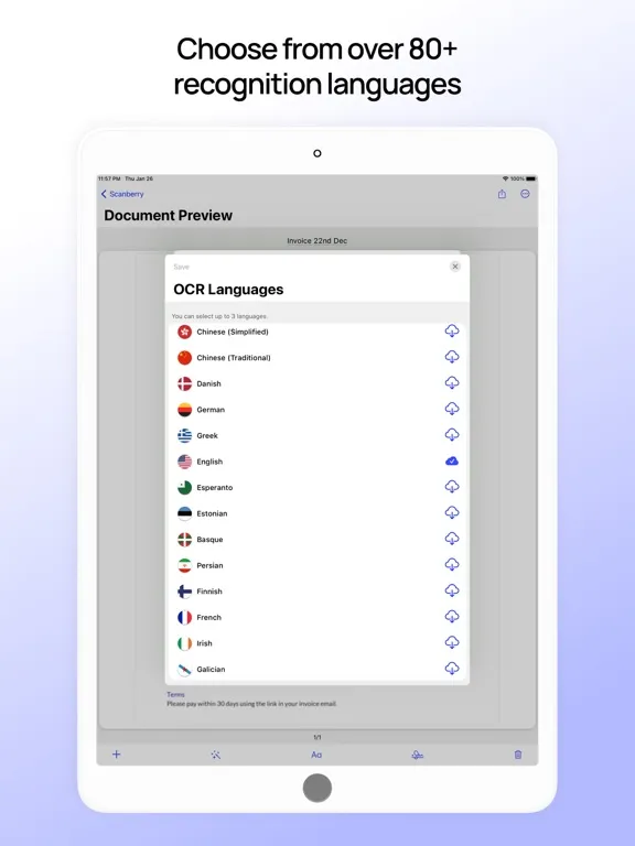 Скриншоты Scanberry – PDF Scanner & OCR iPad 