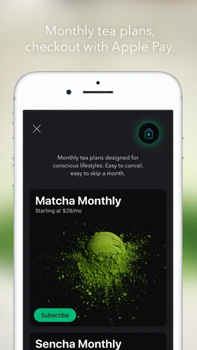 Captures d'écran de Matcha | Japanese Green Tea
