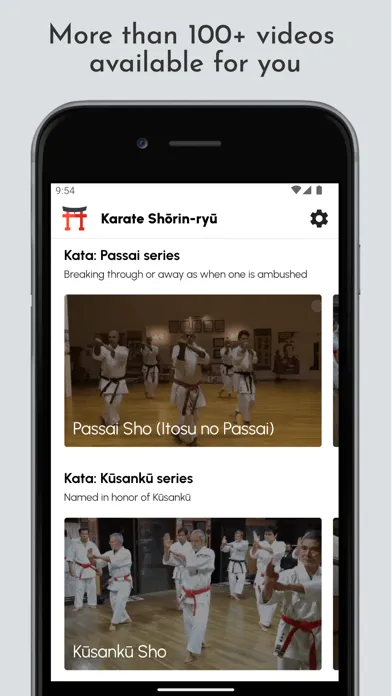 Ảnh chụp màn hình của Karate Shōrin ryū