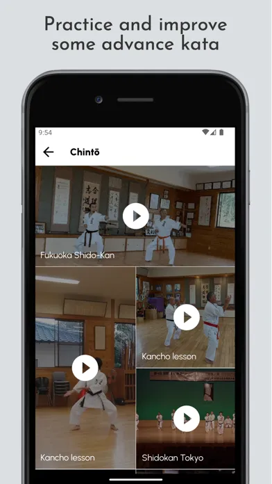Ảnh chụp màn hình của Karate Shōrin ryū