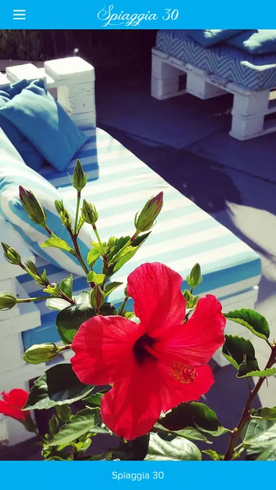 Zrzuty ekranu Spiaggia30