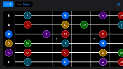 Ảnh chụp màn hình của Guitar Scales +