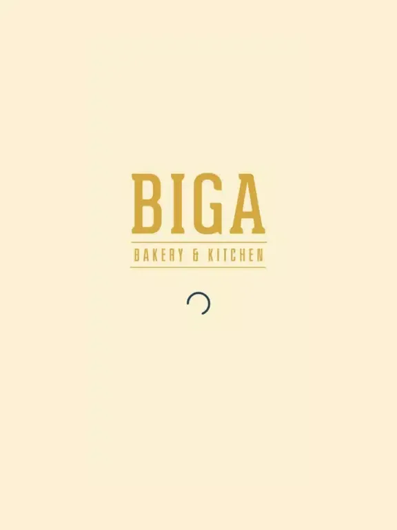 صور BIGA iPad 