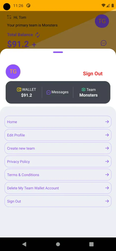 Скриншоты Team Wallet