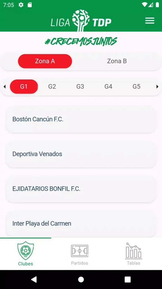 Liga TDP应用截图