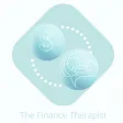 The Finance Therapist App The Finance Therapist App