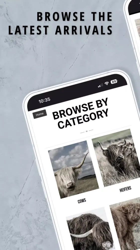 THE Highland Exchange Screenshots