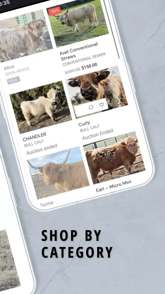 THE Highland Exchange Screenshots