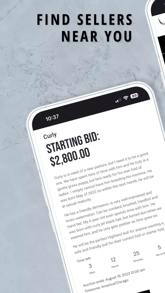 THE Highland Exchange Screenshots